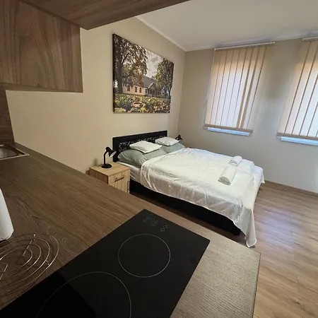 아파트 Nyeki Feszek Apartmanhaz